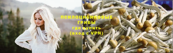 дурь Балахна