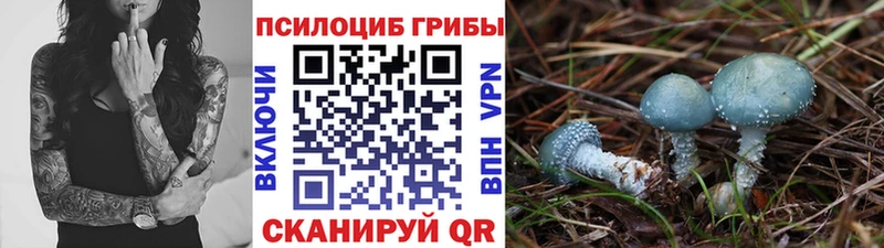 как найти наркотики  Туапсе  Псилоцибиновые грибы Magic Shrooms 